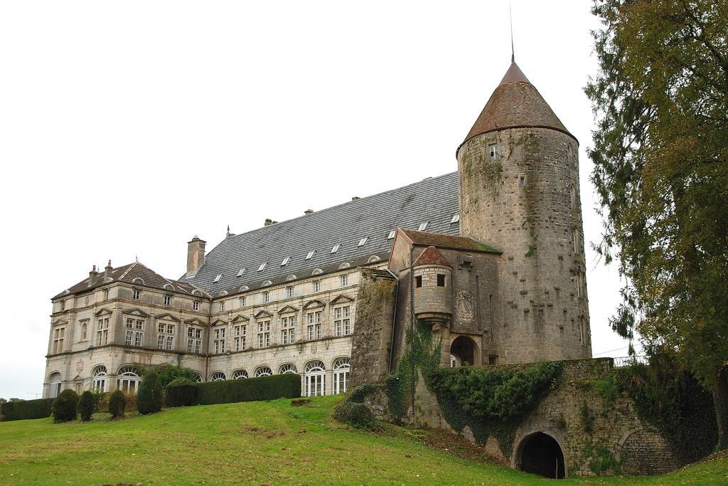 Chateau De Frasne 外观 照片